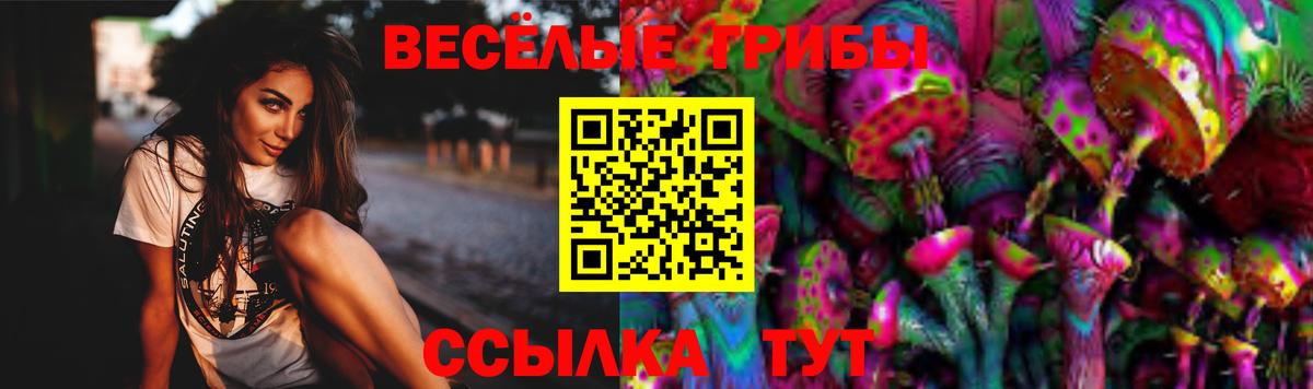Саяногорск  Псилоцибиновые грибы GOLDEN TEACHER  Вход с VPN 